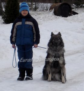enfant et son chien en laisse en extérieur l'hiver