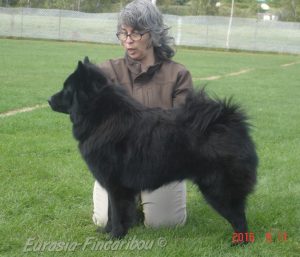Johanne Parent et Eurasier en exposition