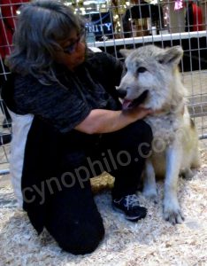 Photo de Johanne et un jeune loup gris de 5 mois