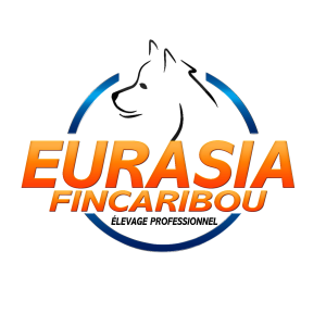 logo Eurasia-Fincaribou