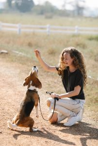 photo d'une jeune femme qui fait assoir un Beagle